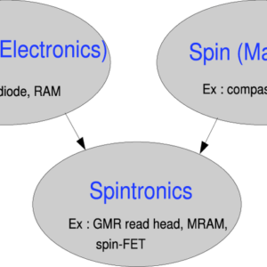 Introduction to Spintronics: Fundamentals and Applications