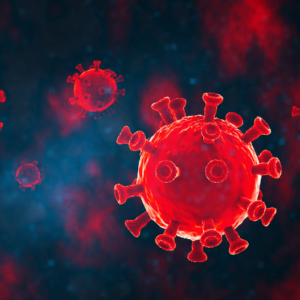 The Pandemic and Technology: How Digital Tools Helped Fight COVID-19