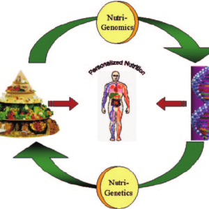 The Personalized Nutrition Revolution: How Your Genes Can Help You Optimize Your Health