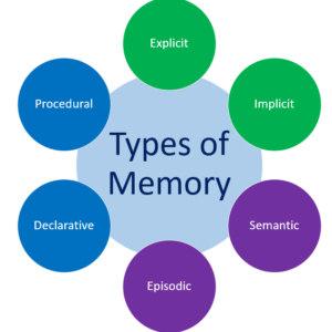 The Future of Memory: How Technology Will Help Us Remember and Forget